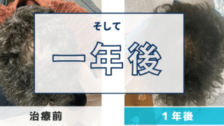 そして1年後